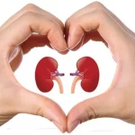 How safe is to donate kidneys